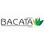 BACATA,-100